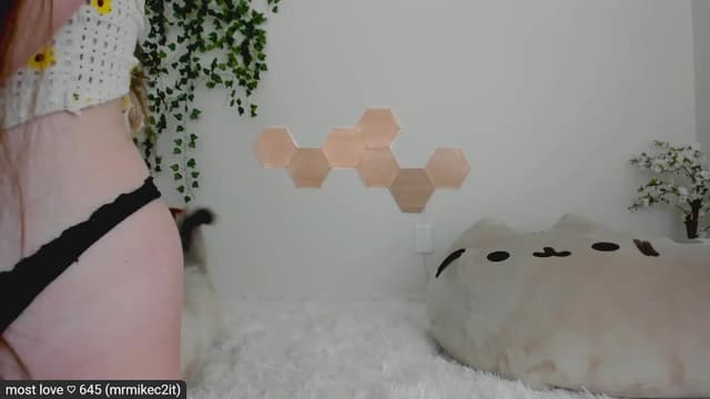 Gallery image thumbnail from Kitty's myfreecams stream on, 03/02/2023, 06:45 image 11 of 20