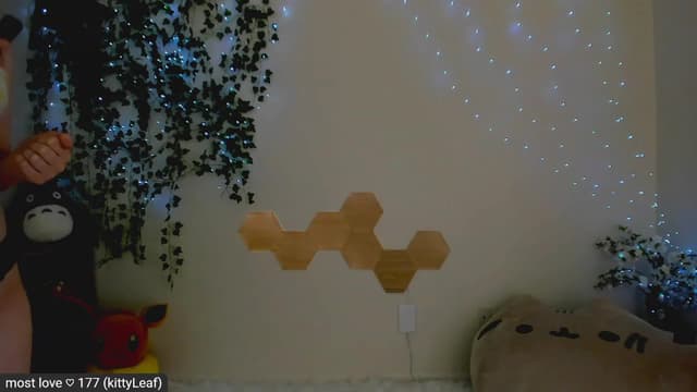 Gallery image thumbnail from Kitty's myfreecams stream on, 03/13/2023, 06:22 image 13 of 20