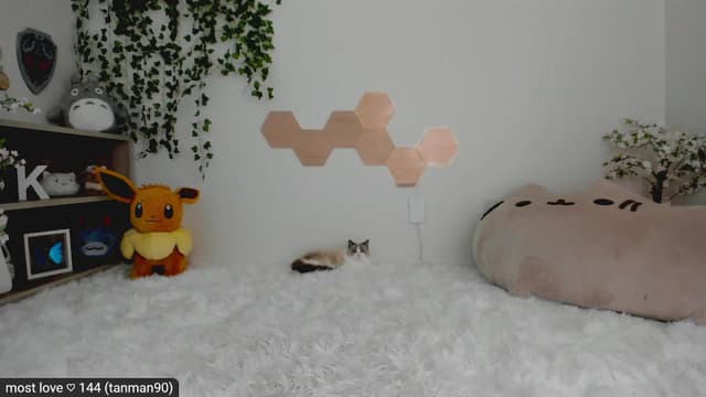 Gallery image thumbnail from Kitty's myfreecams stream on, 03/13/2023, 06:22 image 10 of 20