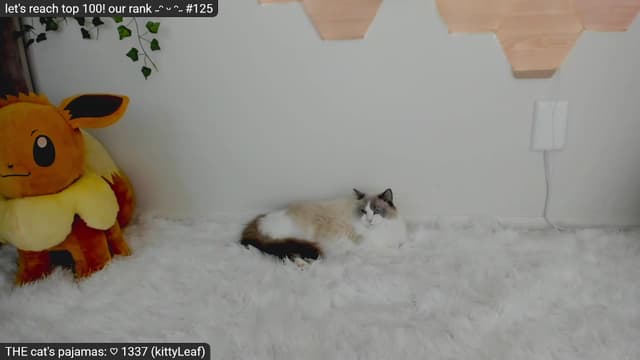 Gallery image thumbnail from Kitty's myfreecams stream on, 03/17/2023, 05:57 image 4 of 20