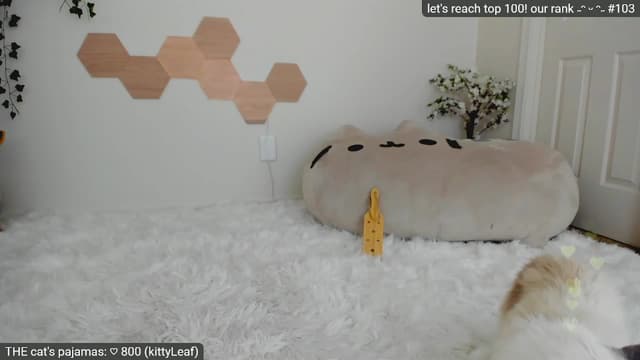 Gallery image thumbnail from Kitty's myfreecams stream on, 03/19/2023, 07:22 image 17 of 20