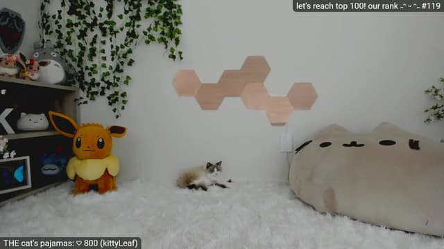 Gallery image thumbnail from Kitty's myfreecams stream on, 03/22/2023, 06:00 image 12 of 20