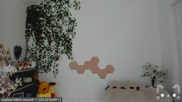 Gallery image thumbnail from Kitty's myfreecams stream on, 04/13/2023, 04:30 image 6 of 20