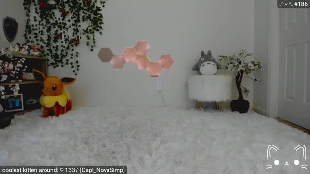 Gallery image thumbnail from Kitty's myfreecams stream on, 05/10/2023, 06:59 image 16 of 20