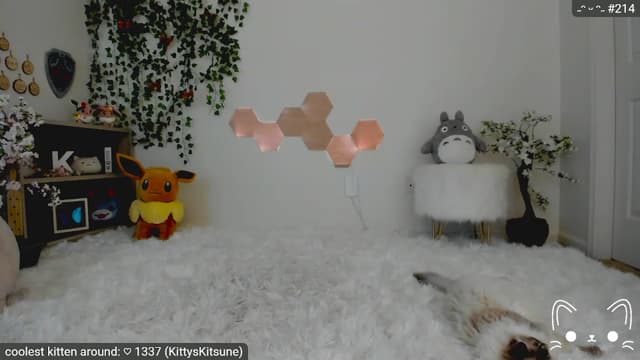 Gallery image thumbnail from Kitty's myfreecams stream on, 05/12/2023, 05:34 image 5 of 20