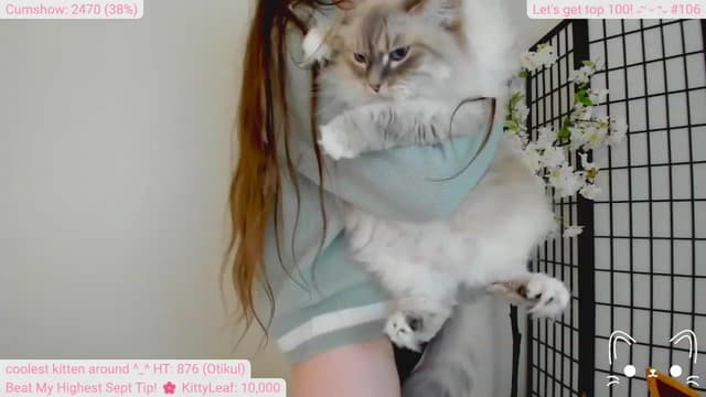 Gallery image thumbnail from Kitty's myfreecams stream on, 09/10/2023, 06:17 image 15 of 20