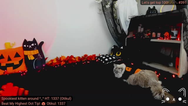 Gallery image thumbnail from Kitty's myfreecams stream on, 10/02/2023, 04:14 image 14 of 20