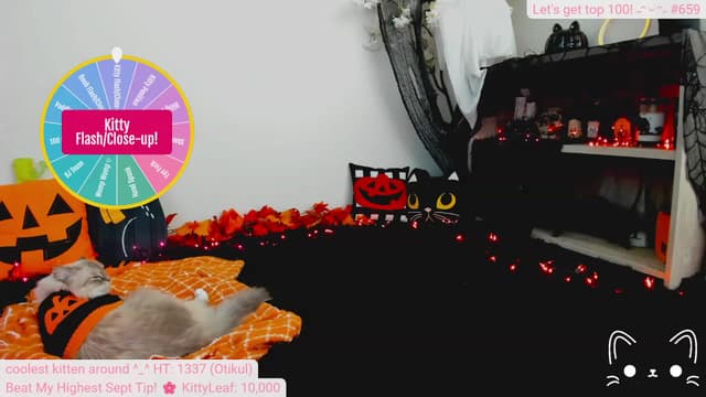 Gallery image thumbnail from Kitty's myfreecams stream on, 10/02/2023, 04:14 image 6 of 20