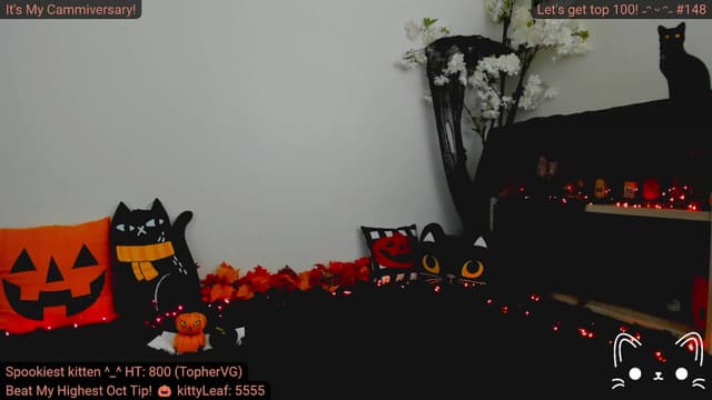Gallery image thumbnail from Kitty's myfreecams stream on, 10/07/2023, 05:50 image 20 of 20