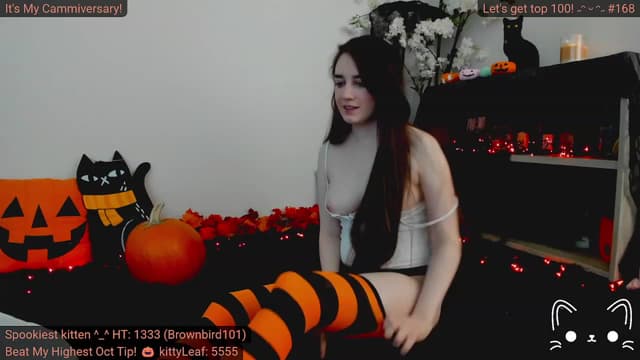 Gallery image thumbnail from Kitty's myfreecams stream on, 10/12/2023, 04:45 image 14 of 20