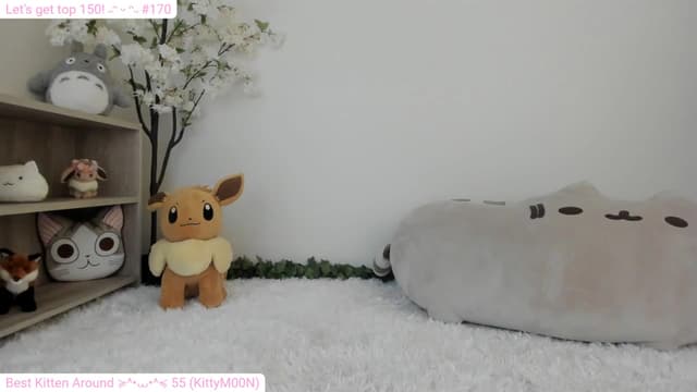 Gallery image thumbnail from Kitty's myfreecams stream on, 12/29/2023, 06:18 image 2 of 20