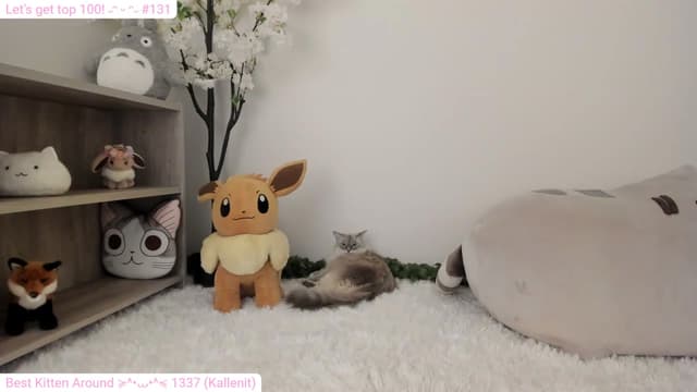 Gallery image thumbnail from Kitty's myfreecams stream on, 01/12/2024, 07:51 image 11 of 20