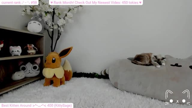 Gallery image thumbnail from Kitty's myfreecams stream on, 02/11/2024, 05:49 image 7 of 20