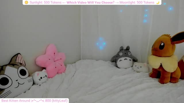 Gallery image thumbnail from Kitty's myfreecams stream on, 03/09/2024, 06:19 image 7 of 20