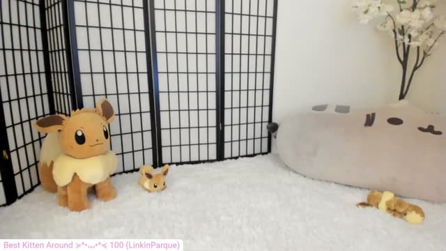 Gallery image thumbnail from Kitty's myfreecams stream on, 05/13/2024, 04:44 image 8 of 20