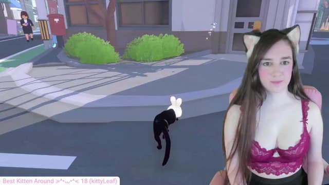 Gallery image thumbnail from Kitty's myfreecams stream on, 05/15/2024, 04:42 image 2 of 20
