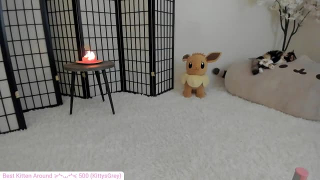 Gallery image thumbnail from Kitty's myfreecams stream on, 06/14/2024, 06:18 image 4 of 20