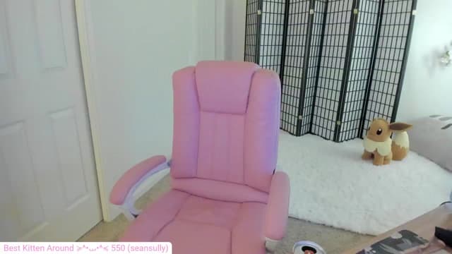 Gallery image thumbnail from Kitty's myfreecams stream on, 07/08/2024, 05:13 image 14 of 20