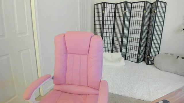 Gallery image thumbnail from Kitty's myfreecams stream on, 08/12/2024, 03:51 image 12 of 20