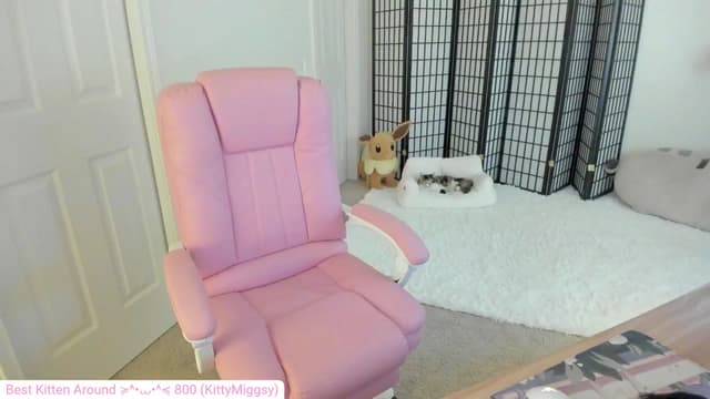 Gallery image thumbnail from Kitty's myfreecams stream on, 08/14/2024, 03:49 image 17 of 20