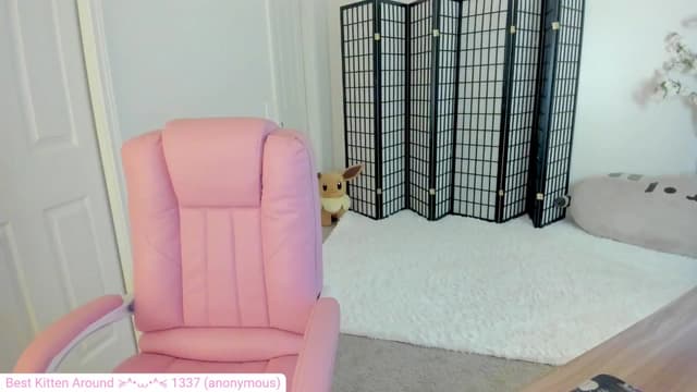Gallery image thumbnail from Kitty's myfreecams stream on, 09/03/2024, 04:49 image 14 of 20