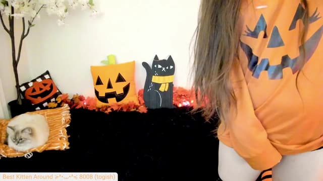 Gallery image thumbnail from Kitty's myfreecams stream on, 10/01/2024, 09:13 image 15 of 20