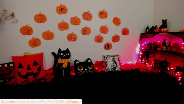 Gallery image thumbnail from Kitty's myfreecams stream on, 10/10/2024, 05:04 image 12 of 20