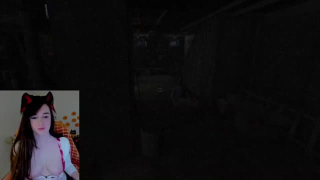 Gallery image thumbnail from Kitty's myfreecams stream on, 10/11/2024, 08:09 image 11 of 20
