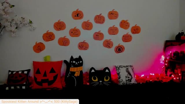 Gallery image thumbnail from Kitty's myfreecams stream on, 10/13/2024, 05:43 image 7 of 20