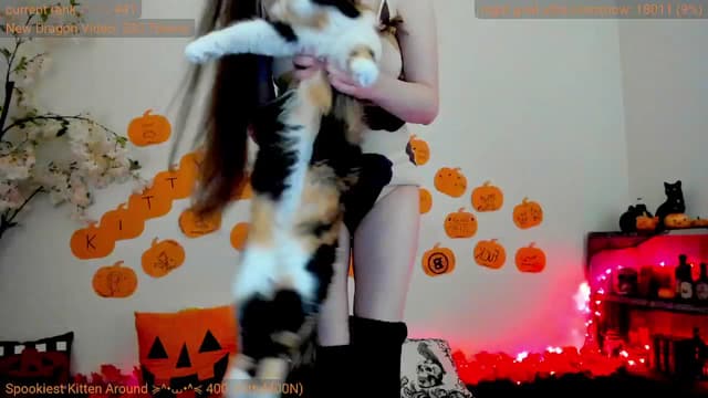 Gallery image thumbnail from Kitty's myfreecams stream on, 10/16/2024, 06:41 image 12 of 20