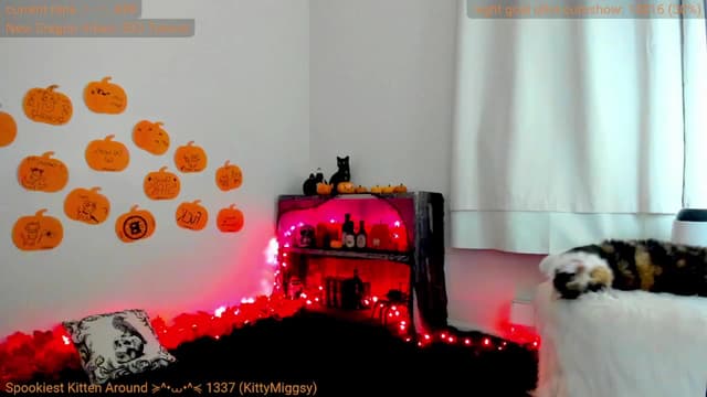 Gallery image thumbnail from Kitty's myfreecams stream on, 10/16/2024, 07:09 image 13 of 20