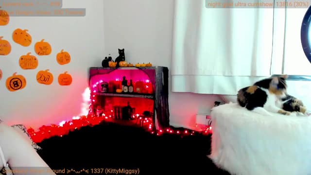 Gallery image thumbnail from Kitty's myfreecams stream on, 10/16/2024, 07:09 image 16 of 20