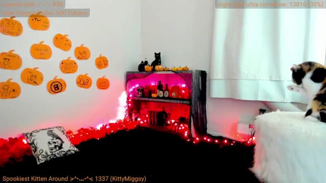 Gallery image thumbnail from Kitty's myfreecams stream on, 10/16/2024, 07:09 image 15 of 20