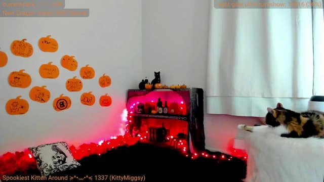 Gallery image thumbnail from Kitty's myfreecams stream on, 10/16/2024, 07:09 image 12 of 20