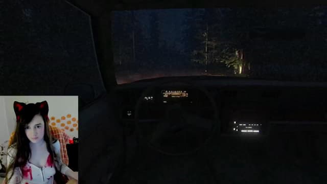 Gallery image thumbnail from Kitty's myfreecams stream on, 10/17/2024, 04:52 image 9 of 20
