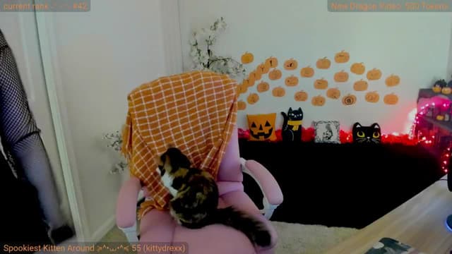 Gallery image thumbnail from Kitty's myfreecams stream on, 10/18/2024, 03:49 image 5 of 20