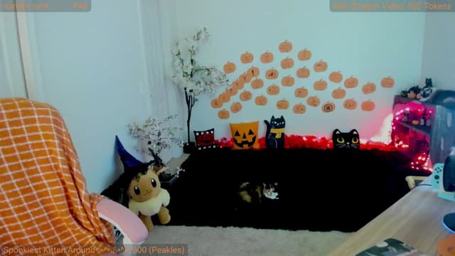 Gallery image thumbnail from Kitty's myfreecams stream on, 10/24/2024, 05:04 image 10 of 20