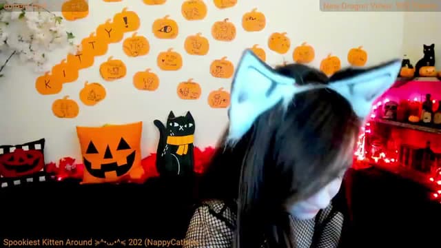Gallery image thumbnail from Kitty's myfreecams stream on, 10/27/2024, 07:06 image 6 of 20