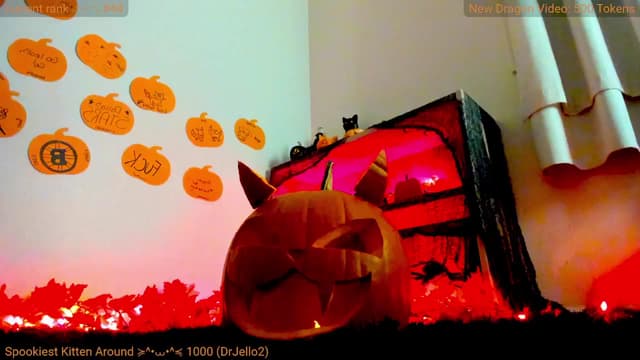 Gallery image thumbnail from Kitty's myfreecams stream on, 10/28/2024, 08:11 image 13 of 20