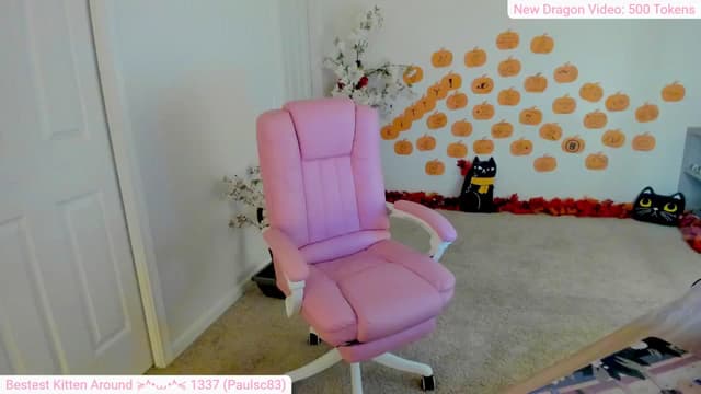 Gallery image thumbnail from Kitty's myfreecams stream on, 11/09/2024, 07:34 image 4 of 20