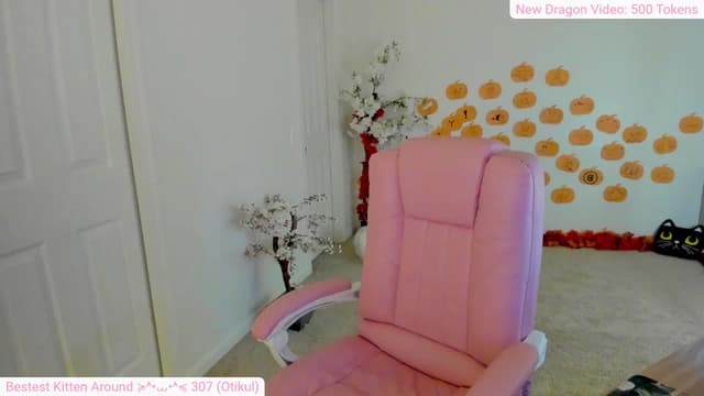 Gallery image thumbnail from Kitty's myfreecams stream on, 11/11/2024, 03:48 image 17 of 20