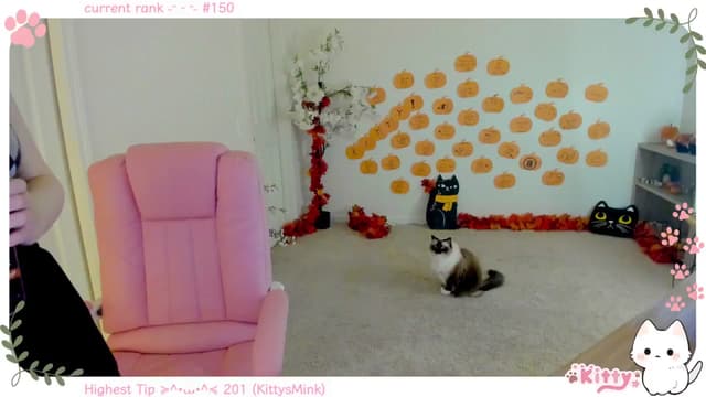 Gallery image thumbnail from Kitty's myfreecams stream on, 11/19/2024, 06:02 image 12 of 20