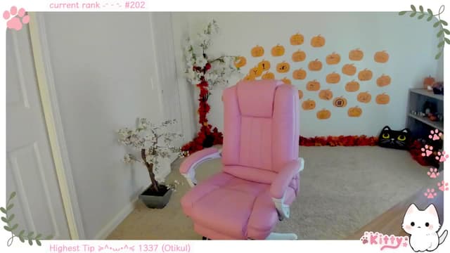 Gallery image thumbnail from Kitty's myfreecams stream on, 11/24/2024, 05:18 image 14 of 20