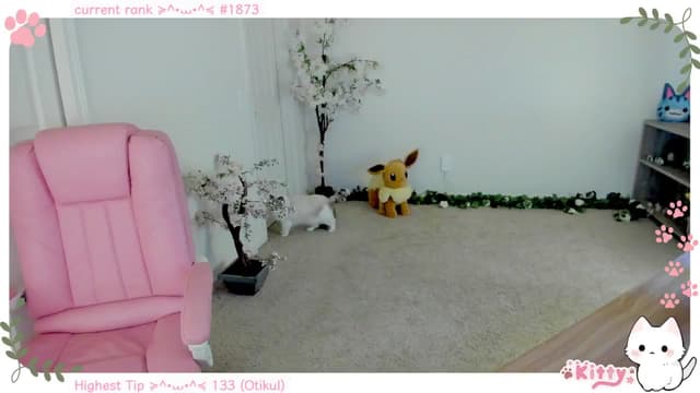 Gallery image thumbnail from Kitty's myfreecams stream on, 12/03/2024, 05:58 image 13 of 20
