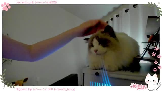 Gallery image thumbnail from Kitty's myfreecams stream on, 12/13/2024, 08:04 image 17 of 20