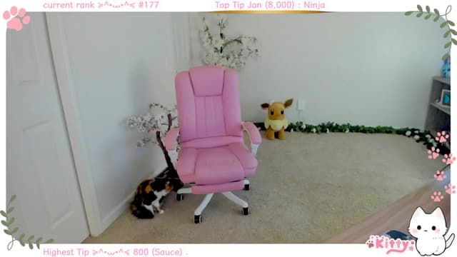 Gallery image thumbnail from Kitty's myfreecams stream on, 01/19/2025, 06:52 image 16 of 20
