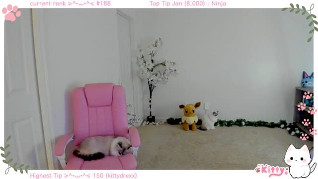Gallery image thumbnail from Kitty's myfreecams stream on, 01/21/2025, 07:17 image 5 of 20
