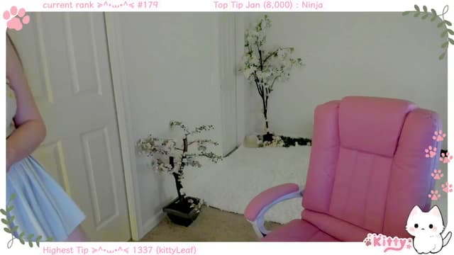 Gallery image thumbnail from Kitty's myfreecams stream on, 01/23/2025, 06:06 image 14 of 20