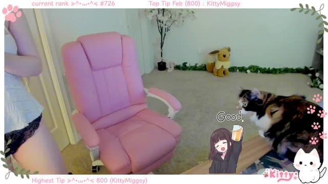 Gallery image thumbnail from Kitty's myfreecams stream on, 02/02/2025, 06:41 image 11 of 20