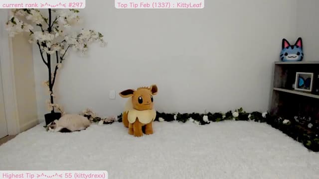Gallery image thumbnail from Kitty's myfreecams stream on, 02/13/2025, 06:25 image 18 of 20